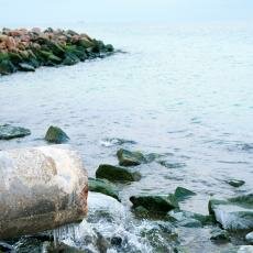 Pollution in the sea